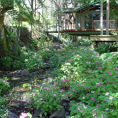 Treetops Montville Exterior foto